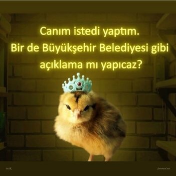IMG_9499.jpeg