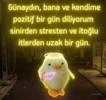 IMG_9501.jpeg