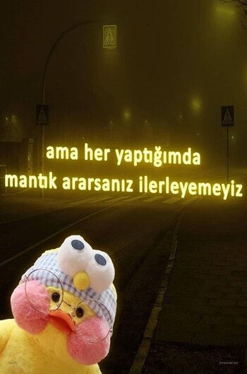 IMG_9504.jpeg