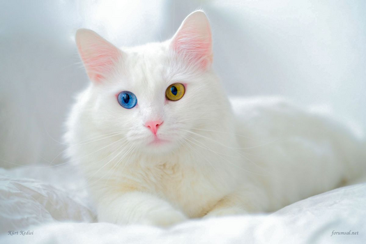 1790529264132.png