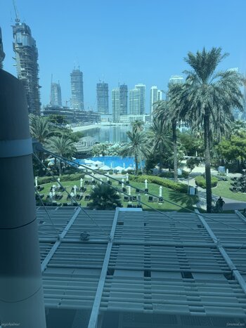 IMG_8380.jpeg IMG_8380.jpeg