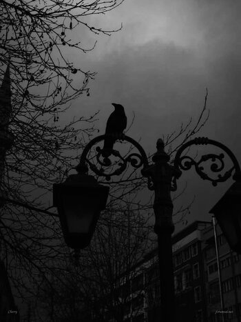 tumblr_7ac60fa68086a5e32486888af8afdddd_2e4e6c12_1280.jpg tumblr_7ac60fa68086a5e32486888af8afdddd_2e4e6c12_1280.jpg