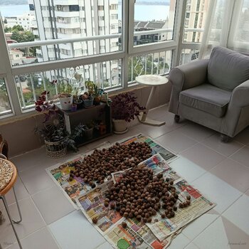 WhatsApp Image 2026-10-04 at 07.54.58.jpeg WhatsApp Image 2026-10-04 at 07.54.58.jpeg