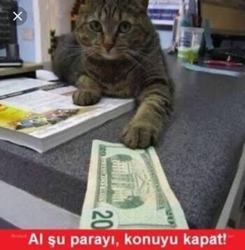 images-148.jpeg