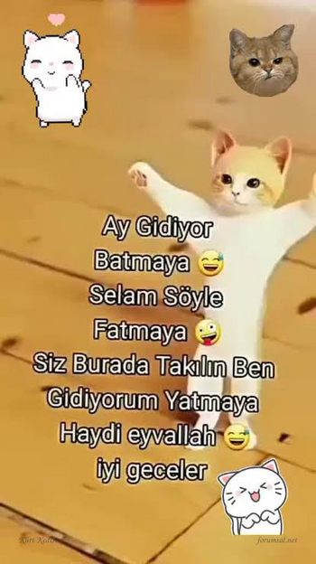 1791412360935.png