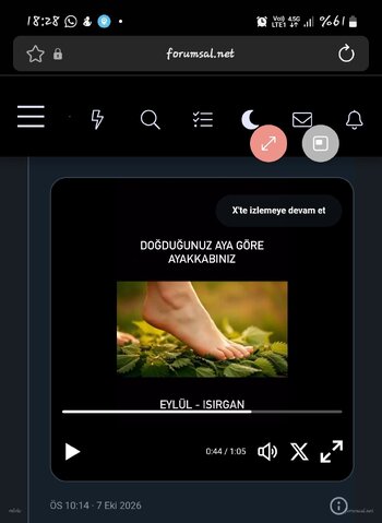Screenshot_20261008-182849_Samsung Browser.jpg Screenshot_20261008-182849_Samsung Browser.jpg