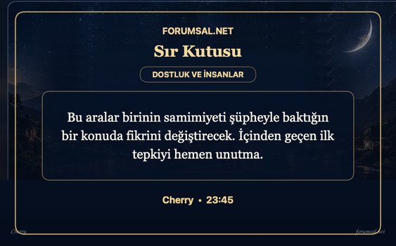 forumsal-sir-kutusu.png