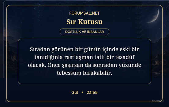 forumsal-sir-kutusu.png
