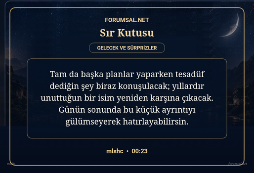 forumsal-sir-kutusu.png