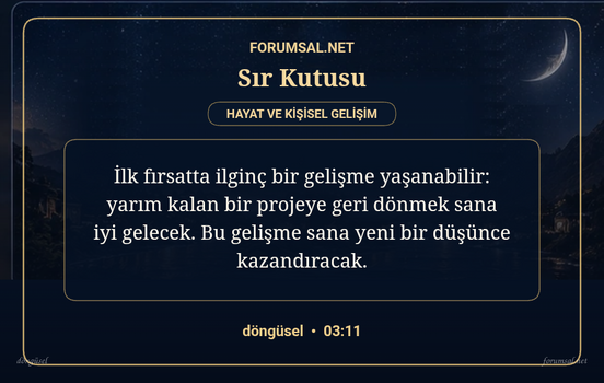forumsal-sir-kutusu.png