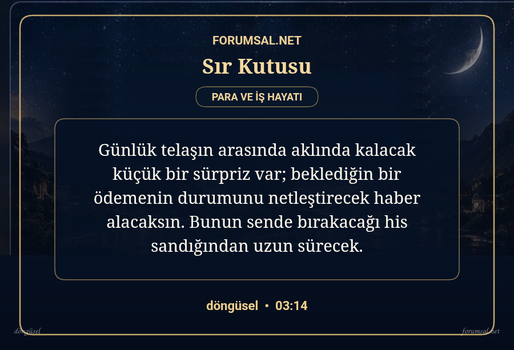 forumsal-sir-kutusu.png