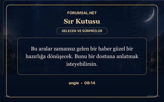 forumsal-sir-kutusu.png