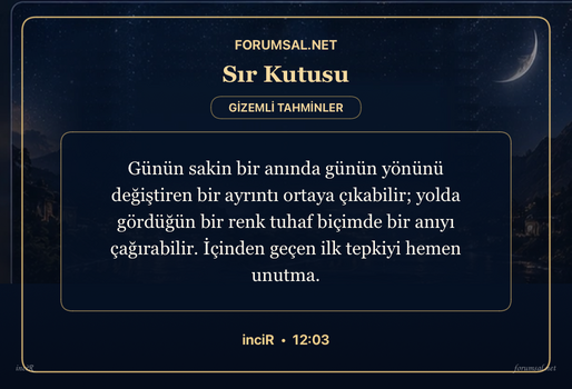 forumsal-sir-kutusu.png
