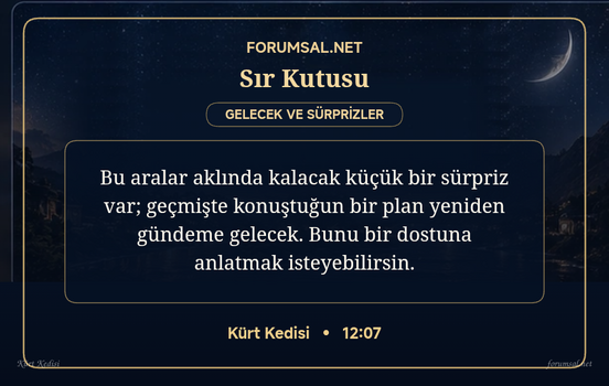 forumsal-sir-kutusu.png