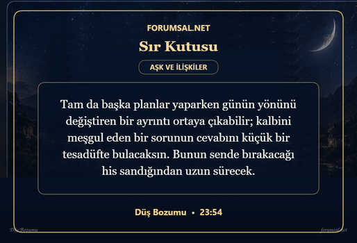 forumsal-sir-kutusu.png