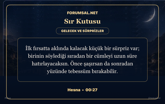 forumsal-sir-kutusu.png