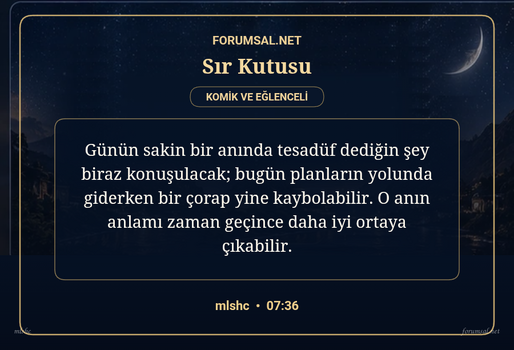 forumsal-sir-kutusu.png