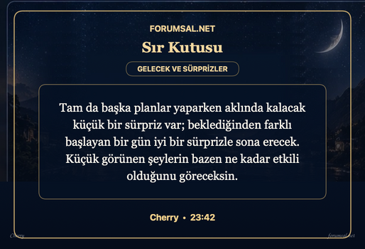 forumsal-sir-kutusu.png