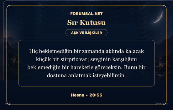forumsal-sir-kutusu.png