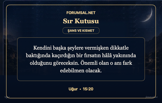 forumsal-sir-kutusu.png