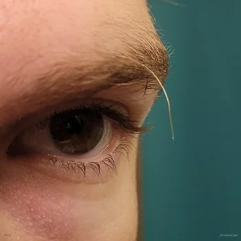 i-have-1-really-long-eyebrow-hair-that-always-grows-back-v0-68nmaswpa5td1.webp