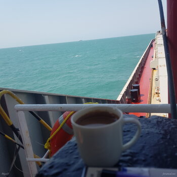 20261019_131225.jpg