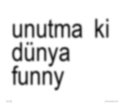 IMG_9691.jpeg