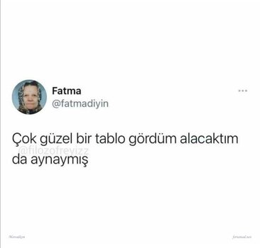 IMG_4324.jpeg