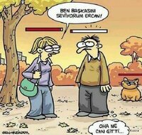 images (15).jpeg