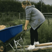 AngelicFavorableIndianhare-size_restricted.gif