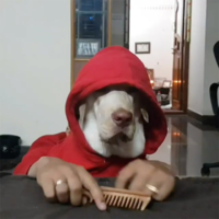 1585425720052.png 1585425720052.png