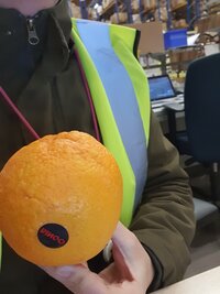 20201210_074200.jpg