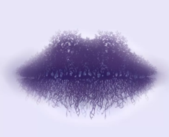 1613158271446.png 1613158271446.png