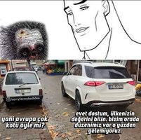 images (2).jpeg images (2).jpeg