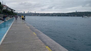 IMG_20210531_121023 (Medium).jpg