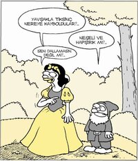 images (11).jpeg