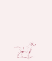 1589203989862.png