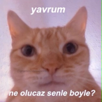 1628974562420.png 1628974562420.png