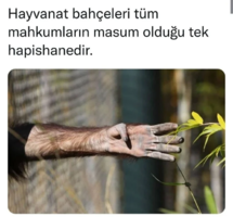1629389411679.png 1629389411679.png