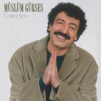 81ZgDTyCUrL._SS500_.jpg