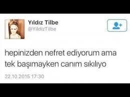 images (12).jpeg