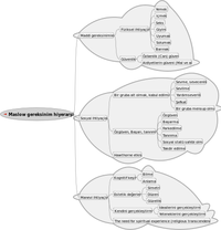440px-Maslow_tr.svg.png 440px-Maslow_tr.svg.png