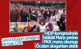 hdp_5027.jpg