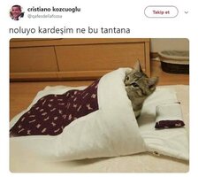 1639603010823.jpeg