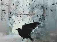 1589381004437.png
