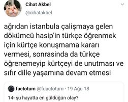 4804AFDF-5AA9-4FFE-8D6A-7ECBD7E81664.jpeg 4804AFDF-5AA9-4FFE-8D6A-7ECBD7E81664.jpeg
