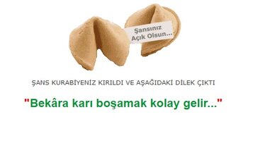 343qese.jpg