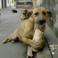 images (10).jpeg images (10).jpeg