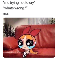 1647633183173.png 1647633183173.png