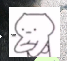 20220321_225615.png